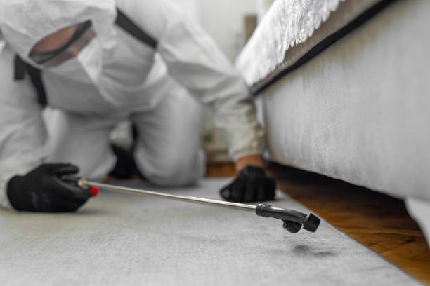 Professional Bed Bug Control technician working in Icard, NC